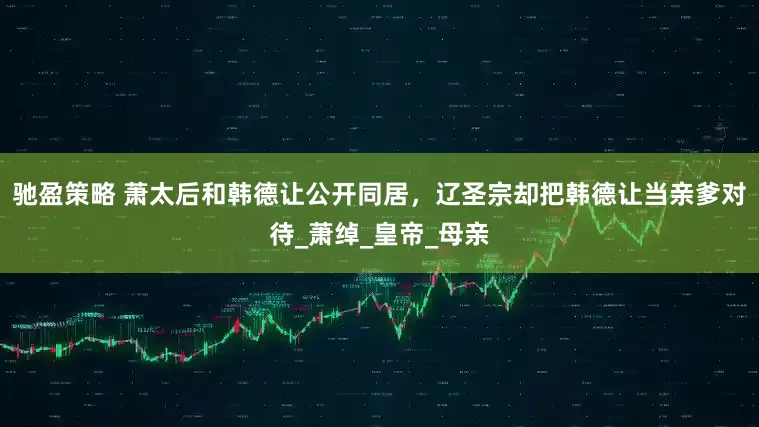 驰盈策略 萧太后和韩德让公开同居，辽圣宗却把韩德让当亲爹对待_萧绰_皇帝_母亲