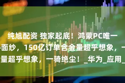 纯旭配资 独家起底！鸿蒙PC唯一代工方揭开神秘面纱，150亿订单含金量超乎想象，一骑绝尘！_华为_应用_市场
