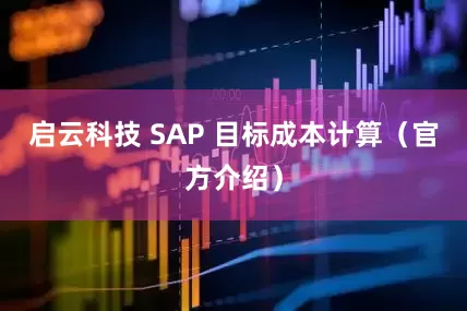 启云科技 SAP 目标成本计算（官方介绍）