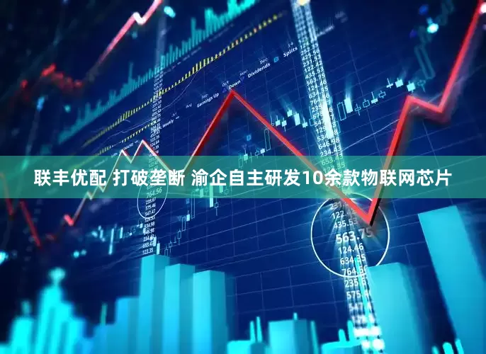 联丰优配 打破垄断 渝企自主研发10余款物联网芯片