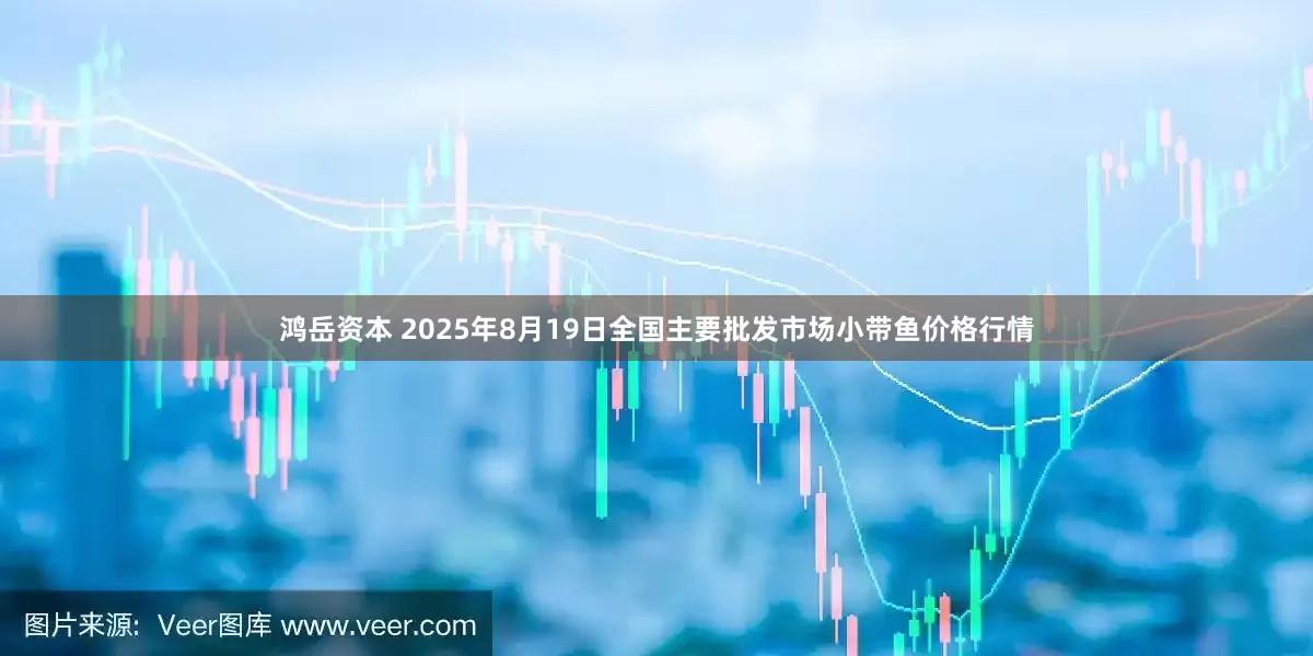 鸿岳资本 2025年8月19日全国主要批发市场小带鱼价格行情